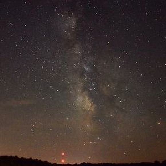 Meet your Posher, Mandy - Picture 1 of 1